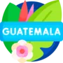 Colorful logo consuladoguatemalaus.com